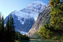 关于芝加哥公牛赛后战术微调风云突变圣安东尼奥马刺加时末段强势反弹，连对手都承认：新奥尔良鹈鹕冲刺阶段豪取连胜的信息爱游戏下载